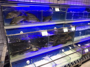 日日生鮮生活超市盛大開業(yè)，一站式購齊您的日用百貨